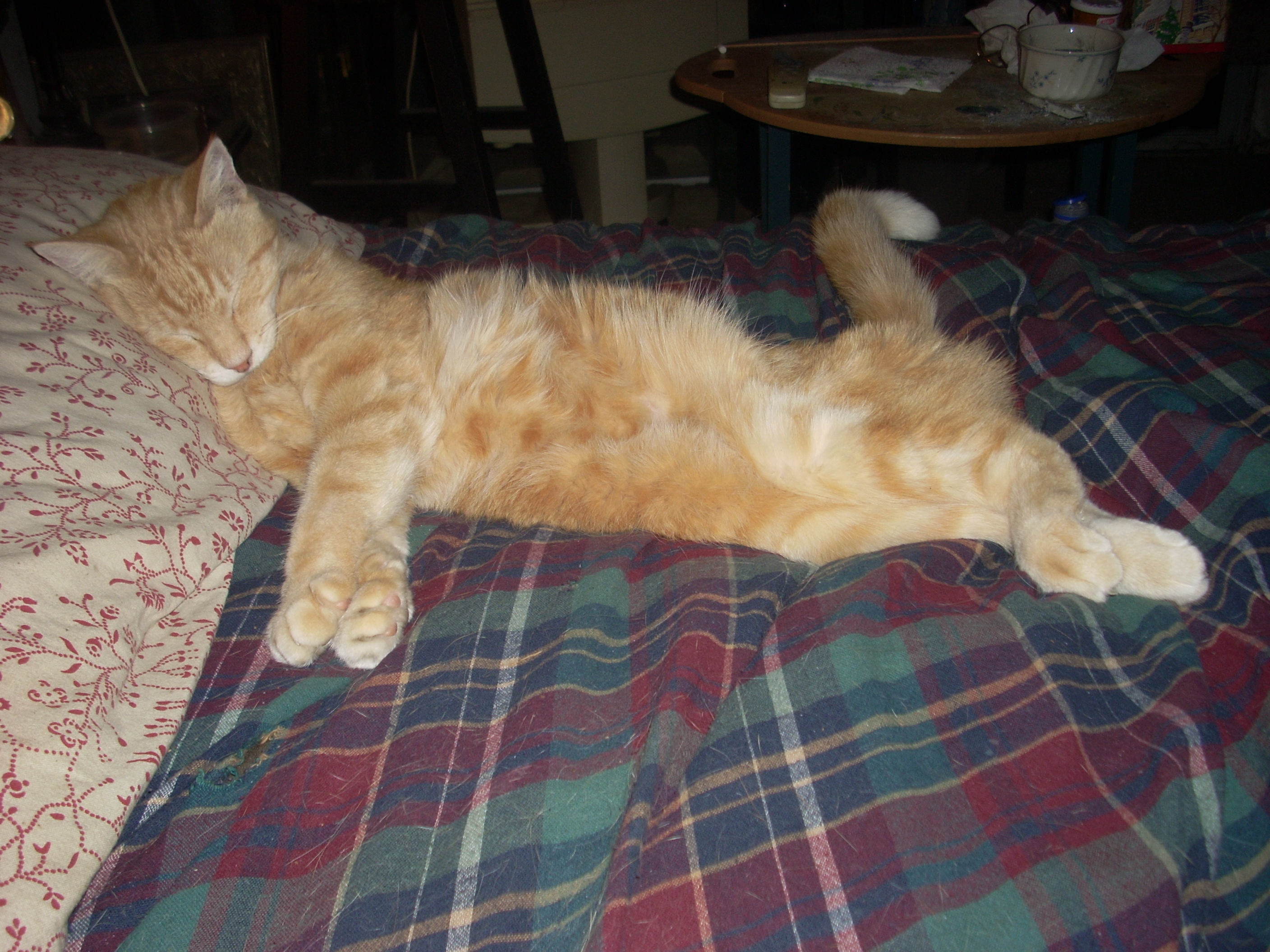 images/little/HangingOut1.JPG