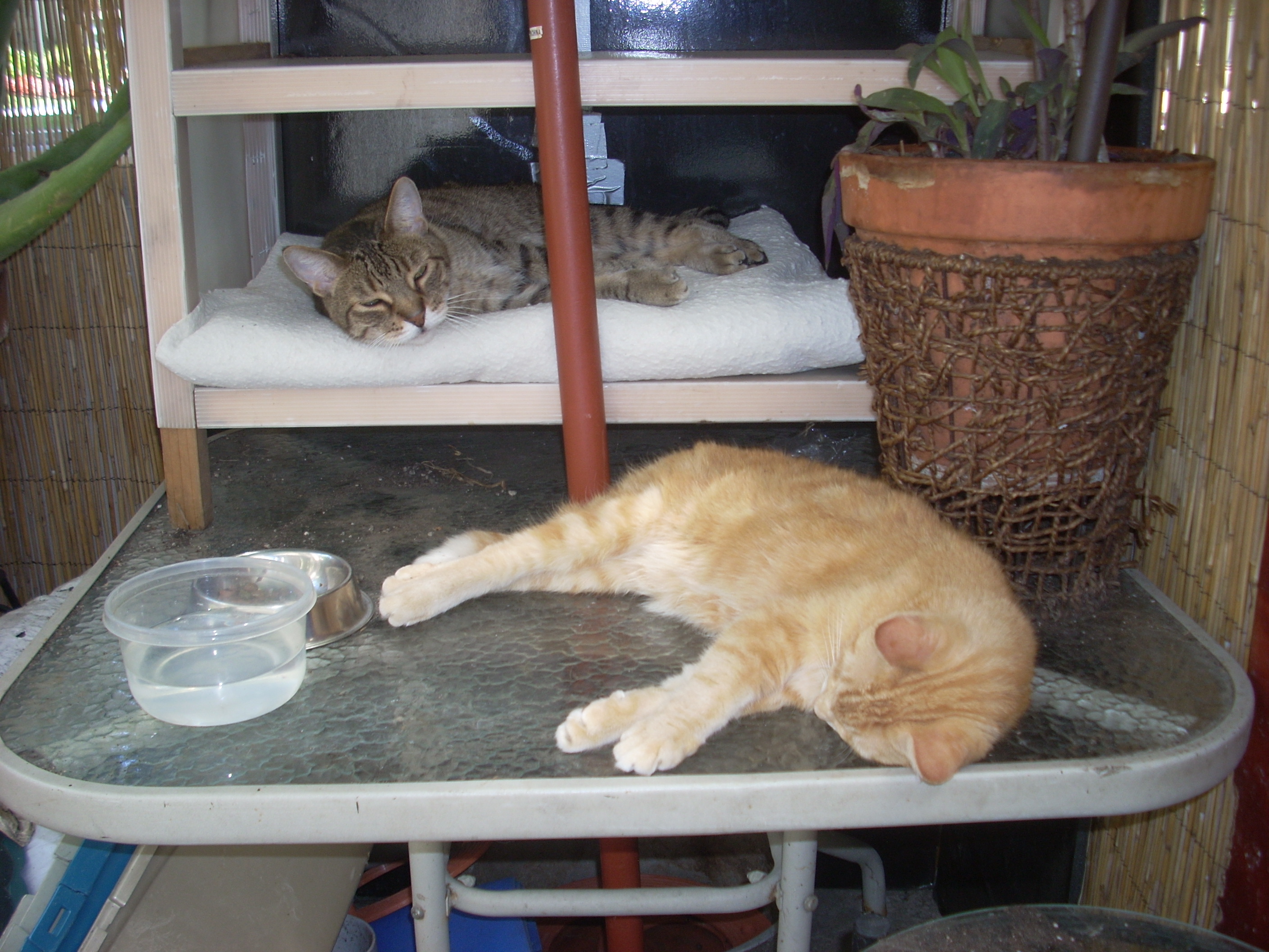 images/little/HangingOut1.JPG