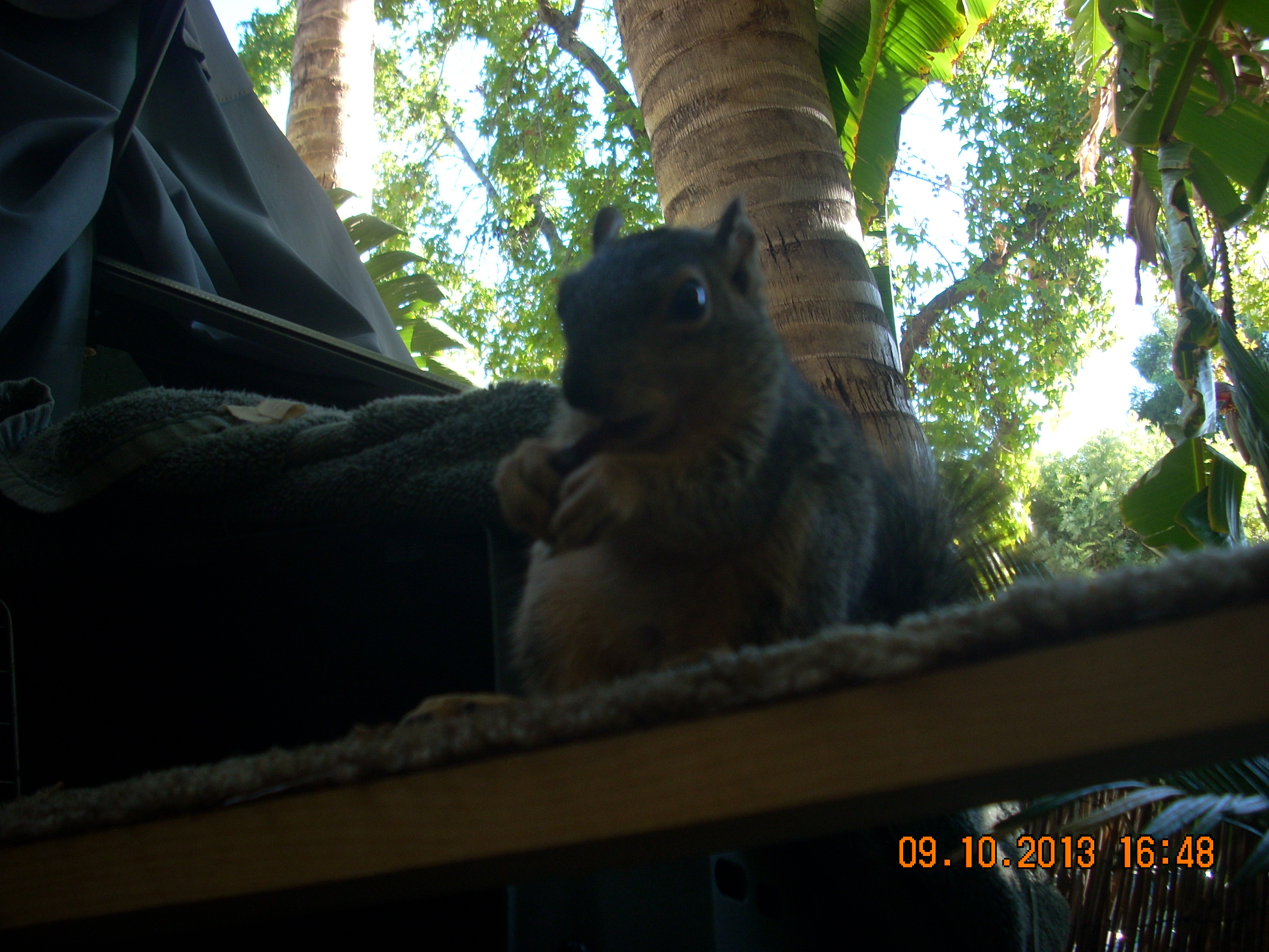 images/little/Little5.JPG